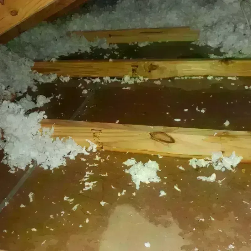 Attic Water Damage in Plainfield, IN